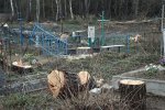 Последствия уборки на кладбище в Сачковичах