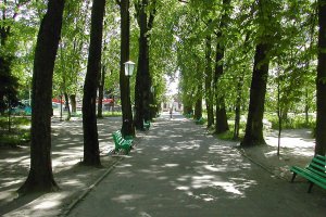 Новозыбковский городской парк