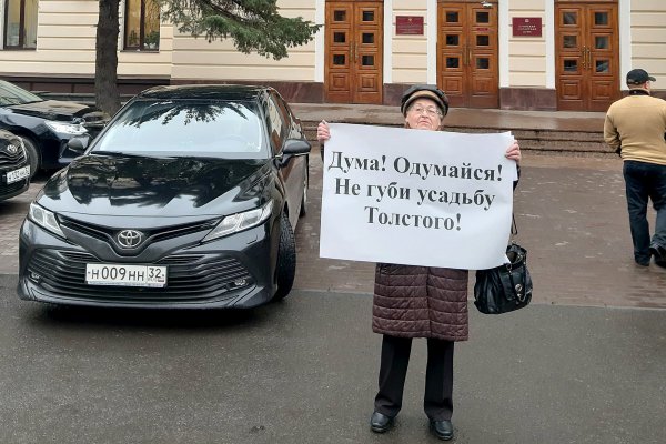 Валерия Захарова на пикете 20 ноября 2019 г.