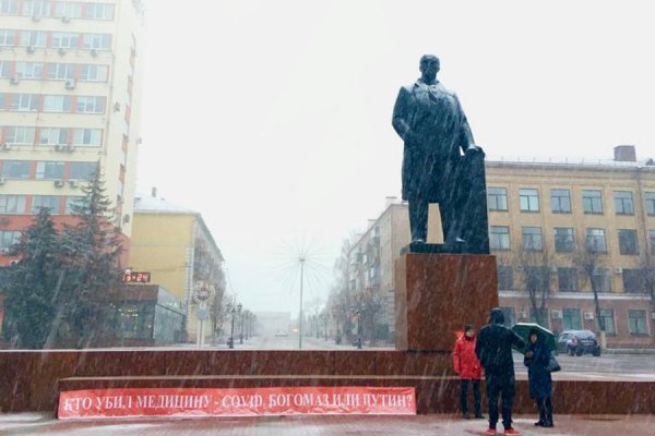 Пикет Алексея Агапова на площади Ленина в Брянске 29 ноября 2020 г. (фото: vk.com/lksm32bryansk)